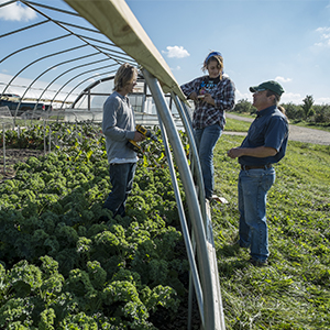 Universities that turn a passion for agriculture into the profession